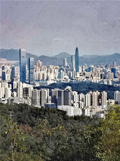 专业外卖工作室的核心竞争力